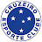 Clube de futebol Cruzeiro MG